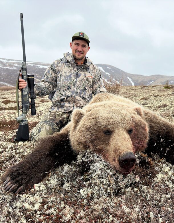 Bear