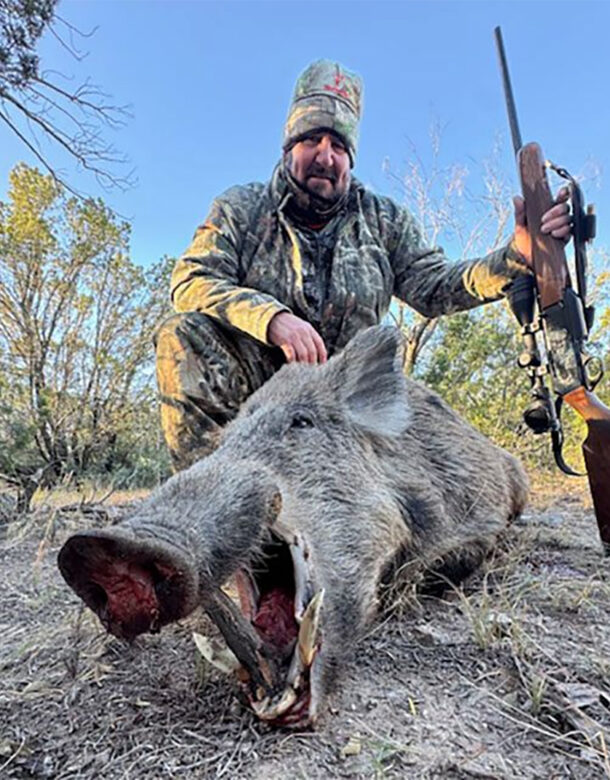 Javelina / Wild Hog