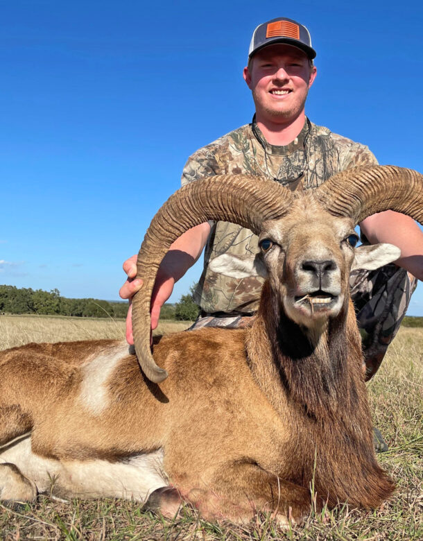 Texas Exotics