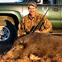 Feral Hog